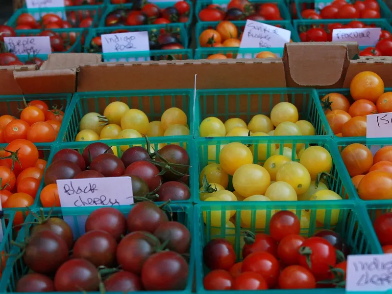 A colorful collection of heirloom, cherry, and beefsteak tomatoes in a rustic wooden crate