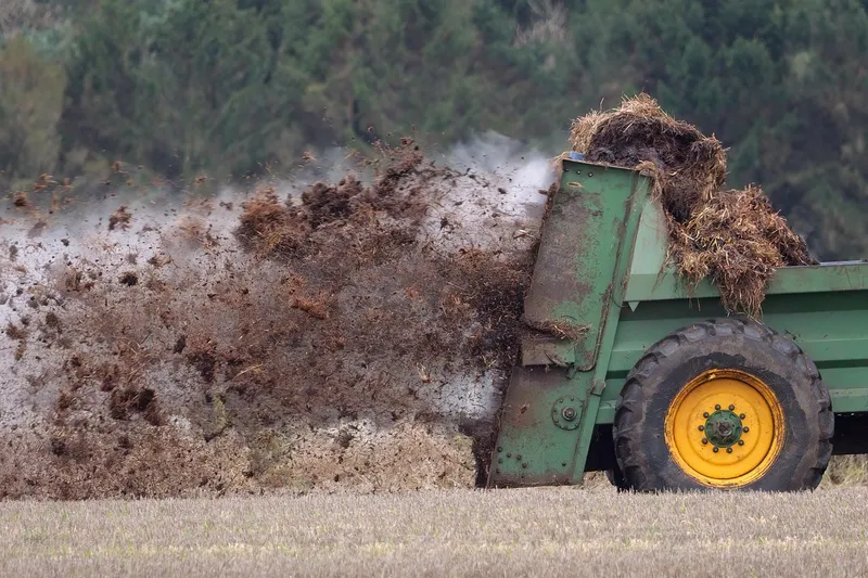 Organic liquid fertilizer being mixed with water to feed container grown vegetables