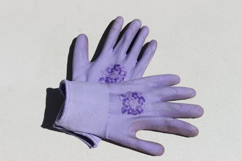 A gardener wearing gloves gently removing aphids from a plant stem by hand