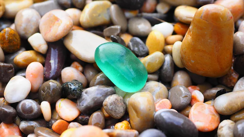 A tray filled with colorful pebbles and a small amount of water under a potted plant