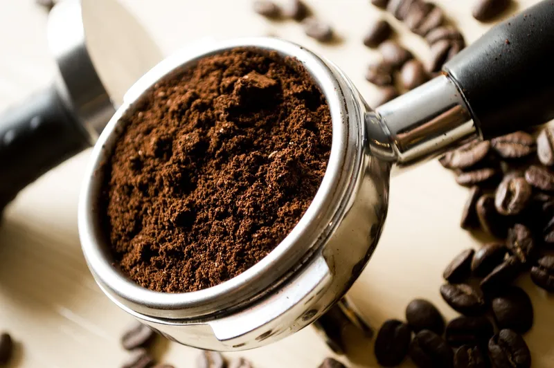 Used dark brown coffee grounds spread on top of garden soil around the base of a plant