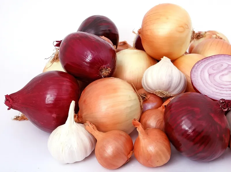 Freshly harvested onions and garlic bulbs, great for repelling garden pests