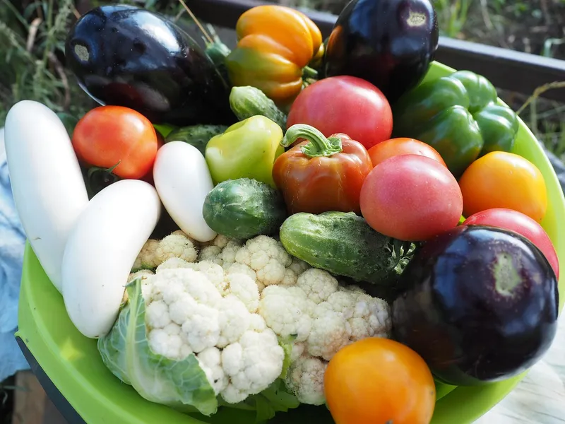 15 Simple Ways to Increase Your Backyard Tomato Harvest This Summer