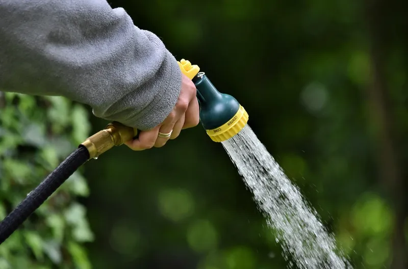 A person using a watering can to hydrate vegetable plants growing in a plastic bucket garden