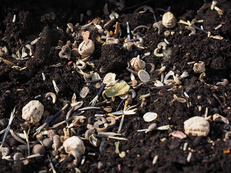 A mixture of pumice, perlite, and coarse sand used for succulent potting.