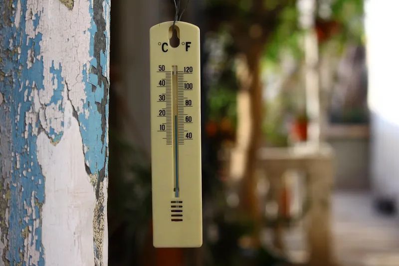 A gardener using a digital soil thermometer to check the temperature of a seed starting tray indoors