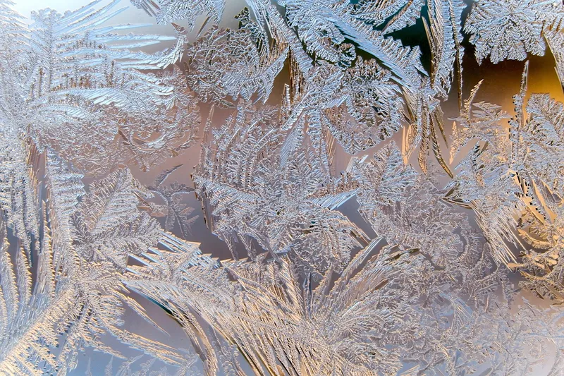 A succulent sitting on a cold window sill during winter when light levels are low
